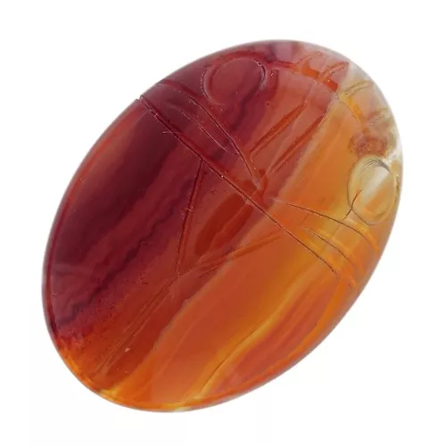 25x18mm Oval engraved beetle cabochon - Carnelian x1