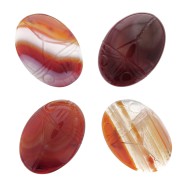 25x18mm Oval engraved beetle cabochon - Carnelian x1