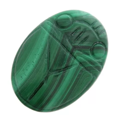 25x18mm Oval engraved beetle cabochon - Malachite x1