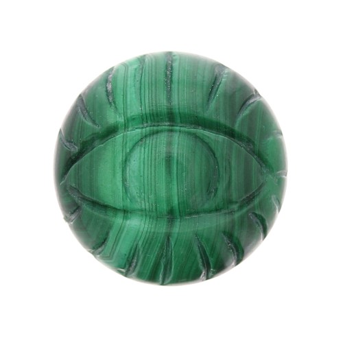 16mm Round engraved eye gemstone cabochon - Malachite x1