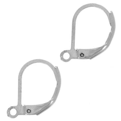 Leverback earrings 16 mm Stainless steel x2
