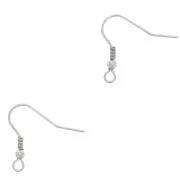 Balls earwires 20 mm Stainless steel x12