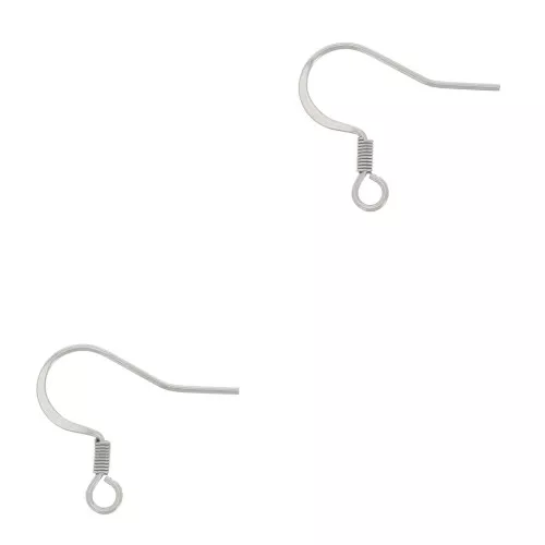 304 Stainless steel Earwires 17mm x6