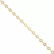 Chain with 6.1mm hollowed out circles - Gold Tone x50cm