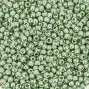 Toho seed beads 11/0 TO11RPF570 - PF Galvanized Mint Green x8g