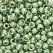 Toho seed beads 6/0 TO6RPF570 - PF Galvanized Mint Green x8g