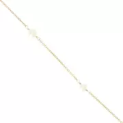 Cable chain with imitation mother-of-pearl beads 4.5mm - Gold filled - White x20cm