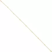 Curb Chain Alternate (1x2) Round Beads 2mm Gold filled x50cm