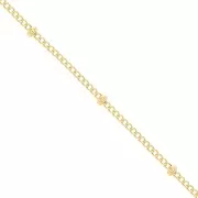 Curb Chain Alternate (1x2) Round Beads 2mm Gold filled x50cm