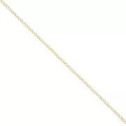 Chain Jaseron 2.3 mm in Gold filled x20cm