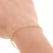 Gold filled 3.1 mm Belcher chain x50cm