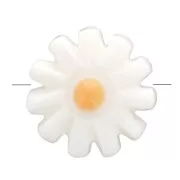 10mm Mother of Pearl Daisy Flower Bead - White - Orange x1