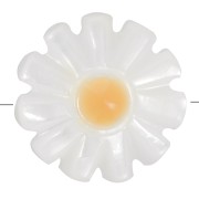 12mm Mother of Pearl Daisy Flower Bead - White - Orange x1