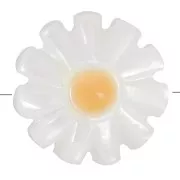 12mm Mother of Pearl Daisy Flower Bead - White - Orange x1