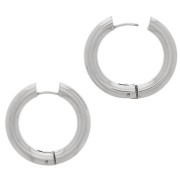 Thick 30mm Round Wire Dormeuses - Stainless Steel x2|raw }}