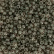 Miyuki Seed beads 11/0 2374 -  Celery Luster x8g