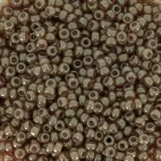 Miyuki Seed beads 11/0 2372 -  Thistle Luster x8g