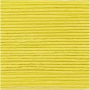 Essentials Organic Cotton Aran - Pistachio x50g