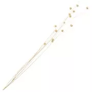 Fleurs séchées