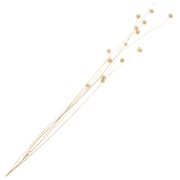 Natural dried flax for flower arrangement x1 stem