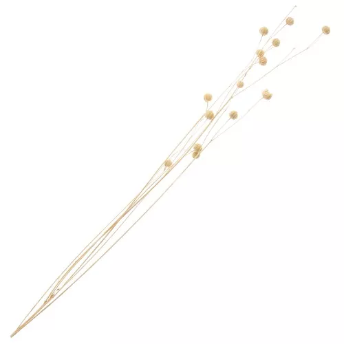 Natural dried flax for flower arrangement x1 stem