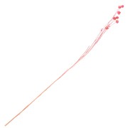 Pink dried flax for flower arrangement x1 stem|raw }}