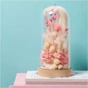 Dried Japanese Carderia - pink - for floral arrangements x5 stems