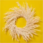 Natural dried oats for flower arrangement x5 stems