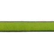 Leather lace 5x2mm Pistachio x30cm