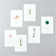 Assortment of Dried & pressed flowers on board - Mix Orange - Turquoisex1