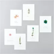 Assortment of Dried & pressed flowers on board - Mix Orange - Turquoisex1