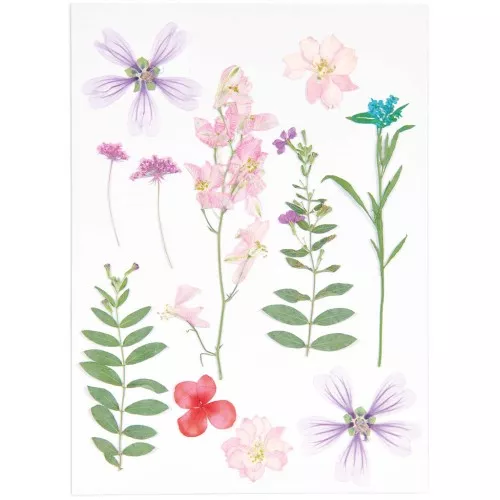 Assortment of Dried & pressed flowers on board - Pink - Violet Mix x1