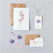 Assortment of Dried & pressed flowers on board - Pink - Violet Mix x1