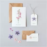 Assortment of Dried & pressed flowers on board - Pink - Violet Mix x1