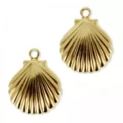 Shell charms 13 mm - Gold-filled x2