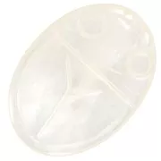 25x18mm Mother of Pearl Oval engraved beetle cabochon - Natural x1