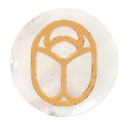 20mm Round flat cabochon - Beetle exclusive to Perles & Co - Mother of Pearl x1|raw }}