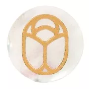 15mm Round flat cabochon - Beetle exclusive to Perles & Co - Mother of Pearl x1