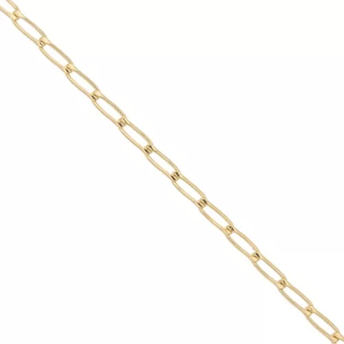 2.9mm Gold filled bilbao chain x 20cm