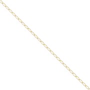1.6mm Gold filled bilbao Chain x50cm|raw }}