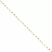 1.6mm Gold filled bilbao Chain x50cm