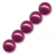 Pearly beads 4mm burgundy x100