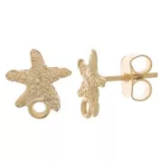 10x9mm Starfish earstuds - with closed ring - Fine Gold Plated x2