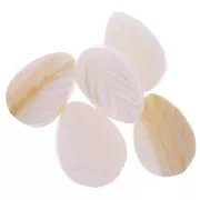 18x12mm Mother of pearl beads - leaf shape - Natural x10