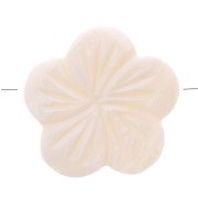 21mm Mother of pearl beads - Flower shape - Natural x5