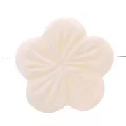 21mm Mother of pearl beads - Flower shape - Natural x5
