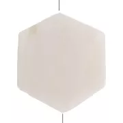 18x16mm Mother of Pearl Beads - Hexagon shape - Natural x10