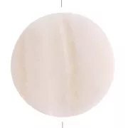 25mm Mother of pearl flat beads - Natural x2