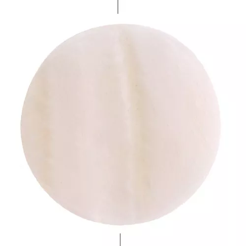 25mm Mother of pearl flat beads - Natural x2