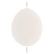 11x9mm Mother of Pearl Flat Beads - Oval - Natural x10